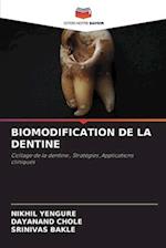 BIOMODIFICATION DE LA DENTINE