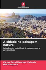 A cidade na paisagem natural