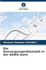 Die Konvergenzproblematik in der EAWU-Zone