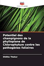 Potentiel des champignons de la phylloplane de Chlorophytum contre les pathogènes foliaires
