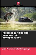 Proteção jurídica dos menores não acompanhados