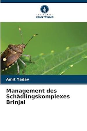 Management des Schädlingskomplexes Brinjal