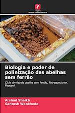 Biologia e poder de polinização das abelhas sem ferrão