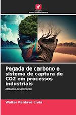 Pegada de carbono e sistema de captura de CO2 em processos industriais