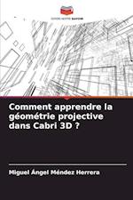 Comment apprendre la géométrie projective dans Cabri 3D ?