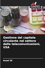 Gestione del capitale circolante nel settore delle telecomunicazioni, USA