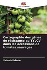 Cartographie des gènes de résistance au TYLCV dans les accessions de tomates sauvages