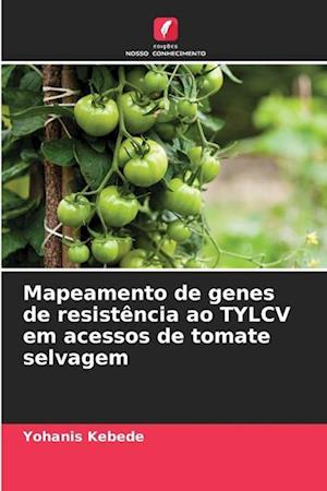 Mapeamento de genes de resistência ao TYLCV em acessos de tomate selvagem