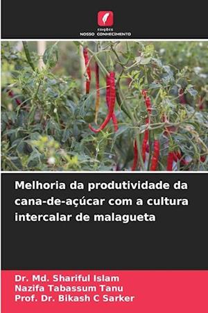 Melhoria da produtividade da cana-de-açúcar com a cultura intercalar de malagueta