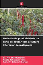 Melhoria da produtividade da cana-de-açúcar com a cultura intercalar de malagueta