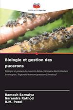 Biologie et gestion des pucerons