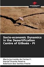 Socio-economic Dynamics in the Desertification Centre of Gilbués - PI