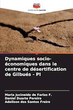 Dynamiques socio-économiques dans le centre de désertification de Gilbués - PI