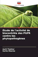 Étude de l'activité de biocontrôle des PGPR contre les phytopathogènes