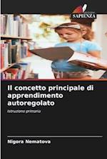 Il concetto principale di apprendimento autoregolato