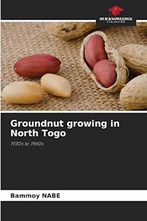 Groundnut growing in North Togo