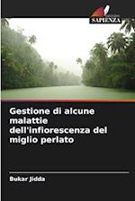 Gestione di alcune malattie dell'infiorescenza del miglio perlato