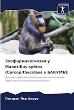 Zoofarmakognoziq u Mandrillus sphinx (Cercopithecidae) w BAKUMBE