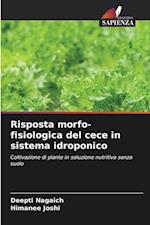 Risposta morfo-fisiologica del cece in sistema idroponico