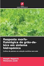 Resposta morfo-fisiológica do grão-de-bico em sistema hidropónico