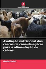 Avaliação nutricional das cascas de cana-de-açúcar para a alimentação de cabras