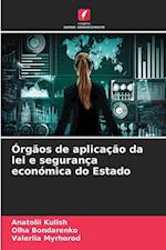 Órgãos de aplicação da lei e segurança económica do Estado