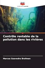 Contrôle rentable de la pollution dans les rivières