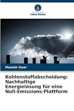 Kohlenstoffabscheidung: Nachhaltige Energielösung für eine Null-Emissions-Plattform