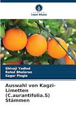 Auswahl von Kagzi-Limetten (C.aurantifolia.S) Stämmen