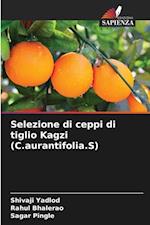 Selezione di ceppi di tiglio Kagzi (C.aurantifolia.S)