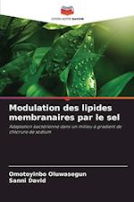 Modulation des lipides membranaires par le sel