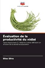 Évaluation de la productivité du niébé