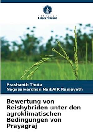 Bewertung von Reishybriden unter den agroklimatischen Bedingungen von Prayagraj