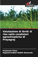 Valutazione di ibridi di riso nelle condizioni agroclimatiche di Prayagraj