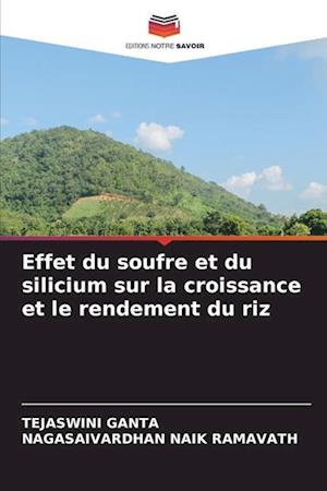 Effet du soufre et du silicium sur la croissance et le rendement du riz