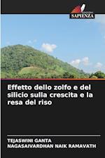 Effetto dello zolfo e del silicio sulla crescita e la resa del riso