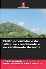 Efeito do enxofre e do silício no crescimento e no rendimento do arroz