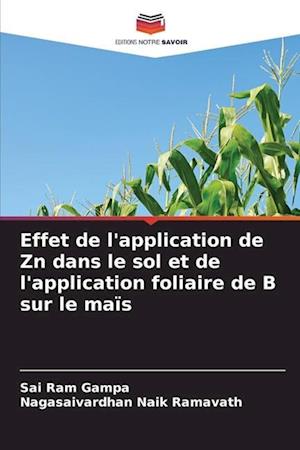 Effet de l'application de Zn dans le sol et de l'application foliaire de B sur le maïs