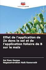 Effet de l'application de Zn dans le sol et de l'application foliaire de B sur le maïs