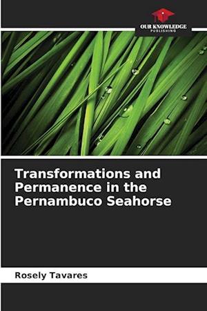 Transformations and Permanence in the Pernambuco Seahorse