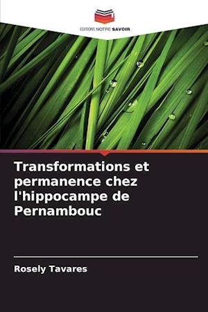 Transformations et permanence chez l'hippocampe de Pernambouc