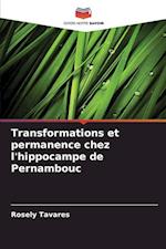 Transformations et permanence chez l'hippocampe de Pernambouc