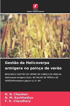 Gestão da Helicoverpa armigera no painço de verão