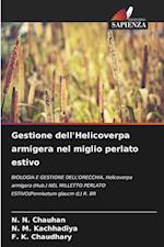 Gestione dell'Helicoverpa armigera nel miglio perlato estivo