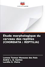 Étude morphologique du cerveau des reptiles (CHORDATA : REPTILIA)