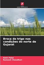 Broca do trigo nas condições do norte de Gujarat