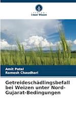 Getreideschädlingsbefall bei Weizen unter Nord-Gujarat-Bedingungen