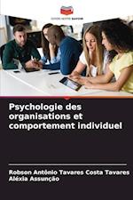 Psychologie des organisations et comportement individuel