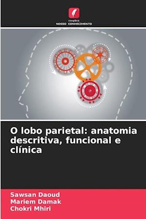 O lobo parietal: anatomia descritiva, funcional e clínica