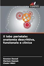 Il lobo parietale: anatomia descrittiva, funzionale e clinica